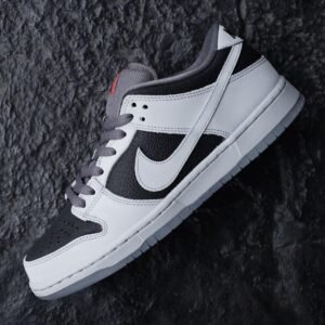 SB Dunk Low Atlas Shoes For Boys