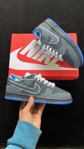 SB Dunk Low Concept Sneakers 2 Colors