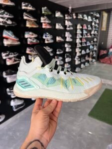 Rose Sun Of Chi Sneakers 2 Colors