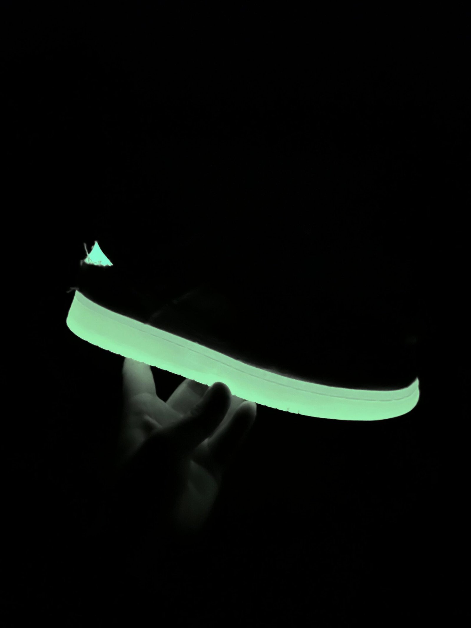SB Dunk Glow In Dark Shoes For Boys