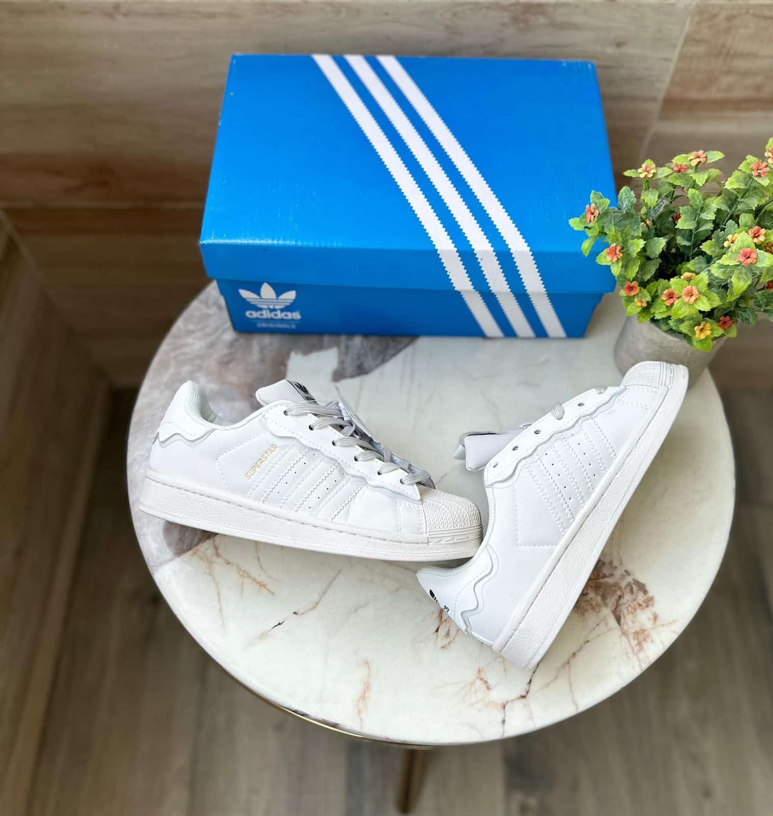 Superstar Cappuccino Sneakers On Sale Buy Online in India 7AShoes